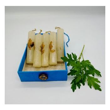 Artemisia Aromatic Candle