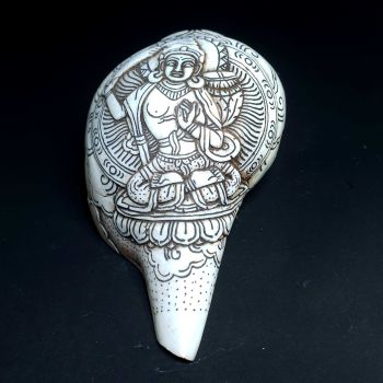 Tibetan Conch Shell with Manjushree Hand Carved